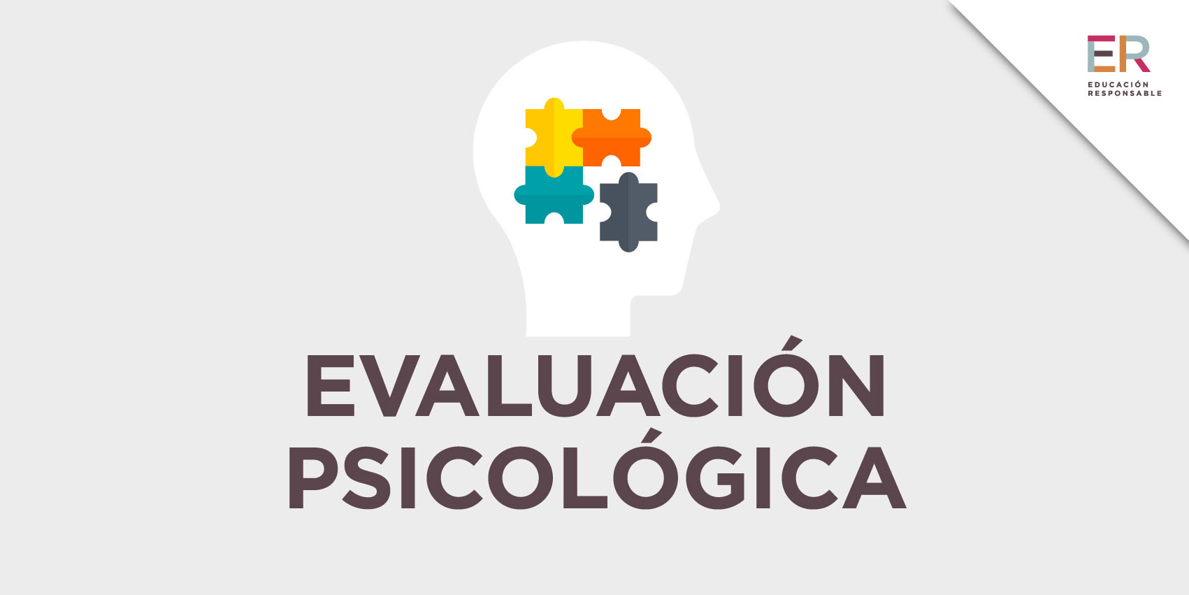 investigac eval psicol